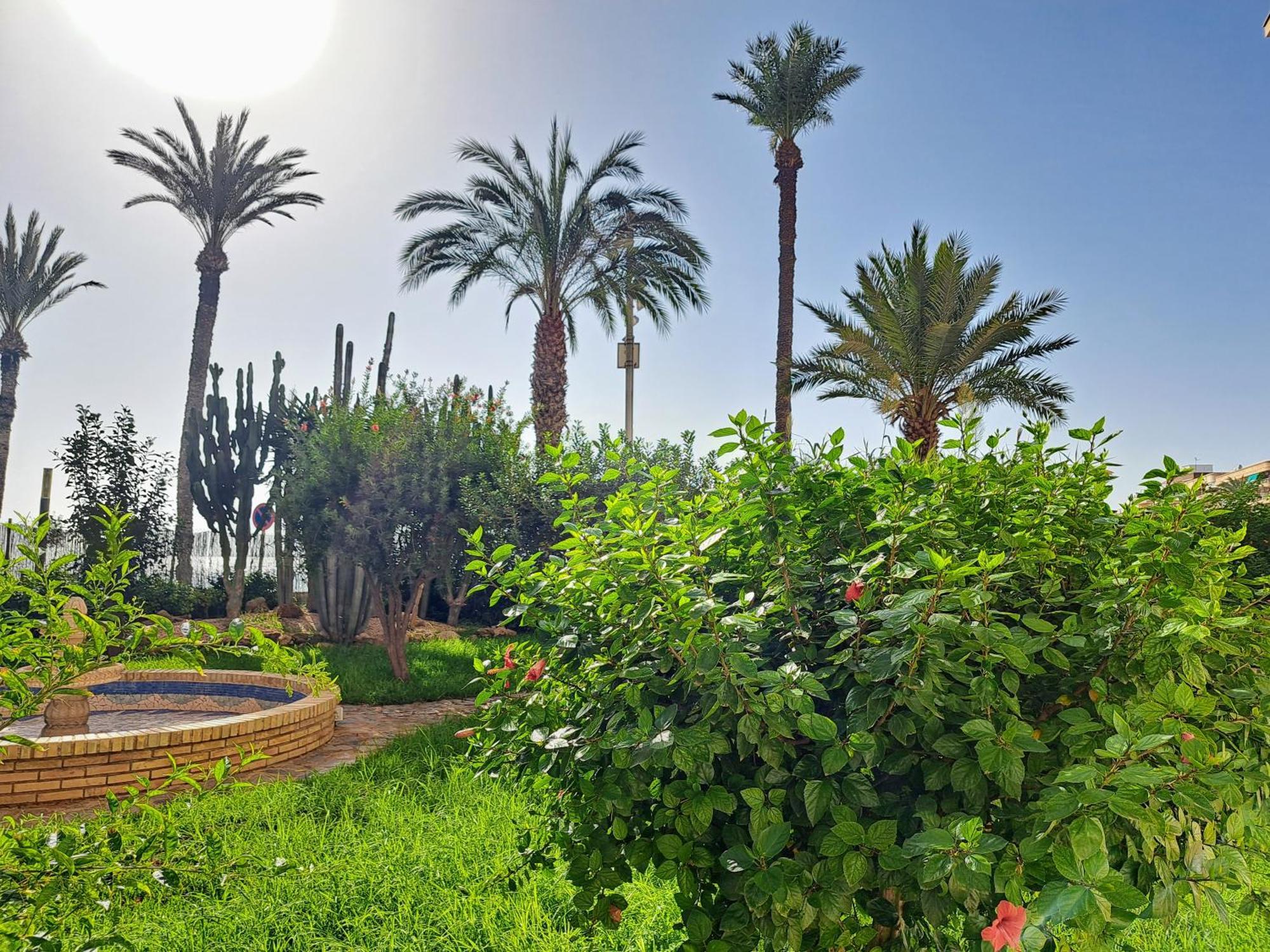 Garden Beach Apartment Torrevieja Exterior foto